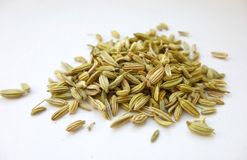 Fenchel